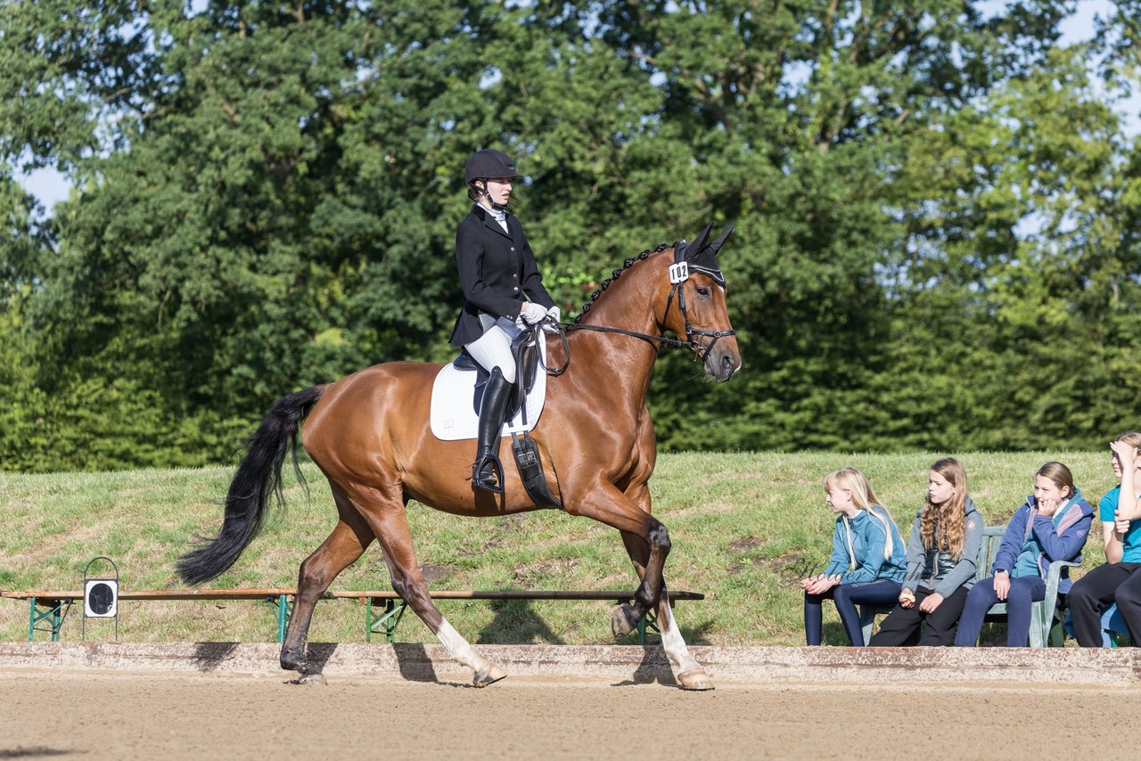 Bild 3 - Pony Akademie Turnier